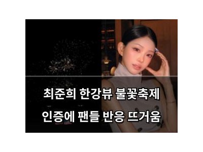 최준희 한강뷰 불꽃축제 인증에 팬들 반응 뜨거움